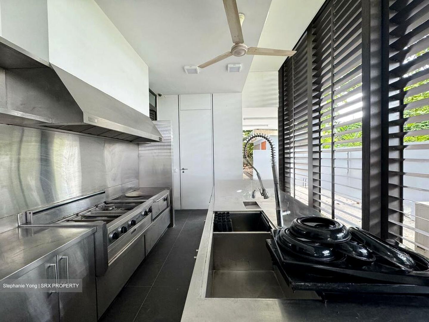 Leedon Park (D10), Detached #441367201
